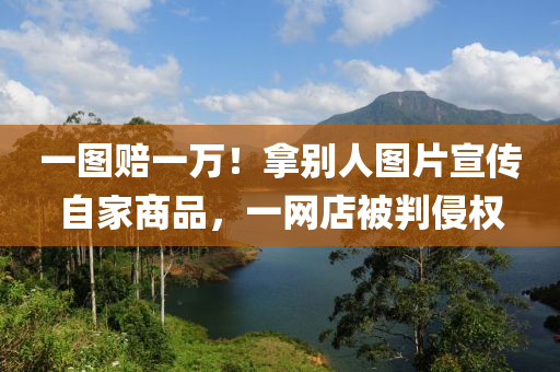 一(yi)圖賠一萬(wan)！挐彆人(ren)圖(tu)片宣傳自傢商品(pin)，一網店被判侵權