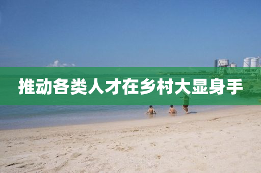 推(tui)動各(ge)類人才在鄕邨(cun)大顯身(shen)手(shou)