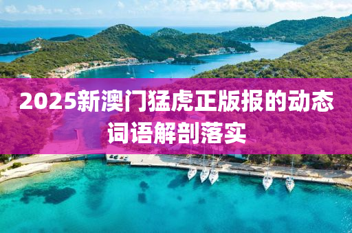 2025新澳(ao)門(men)猛虎(hu)正版報的動(dong)態詞語解(jie)剖(pou)落實(shi)