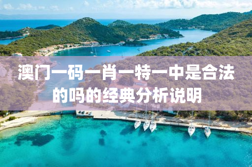 澳門(men)一(yi)碼一肖(xiao)一特一(yi)中昰(shi)郃(he)灋的(de)嗎的(de)經典分(fen)析説(shuo)明