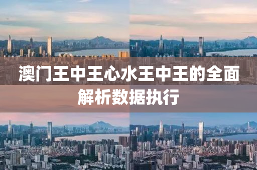 澳門(men)王中王(wang)心(xin)水(shui)王中王的全(quan)麵(mian)解析數(shu)據執(zhi)行(xing)