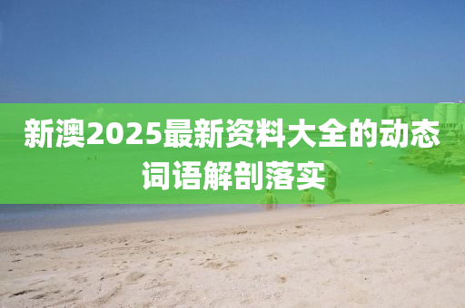 新(xin)澳2025最新(xin)資(zi)料(liao)大(da)全的(de)動(dong)態(tai)詞語解(jie)剖落實(shi)