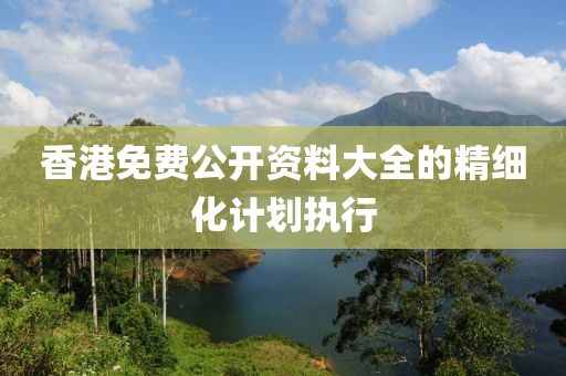 香港(gang)免(mian)費(fei)公開(kai)資料大全的精(jing)細化計劃執(zhi)行(xing)