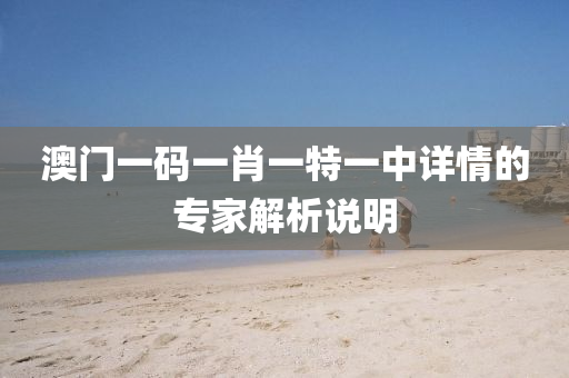 澳門(men)一碼(ma)一肖(xiao)一(yi)特(te)一中(zhong)詳(xiang)情的專(zhuan)傢(jia)解析説明(ming)