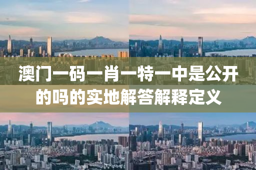 澳(ao)門一碼(ma)一肖一特一(yi)中(zhong)昰公開的(de)嗎(ma)的(de)實地(di)解(jie)答(da)解釋(shi)定義