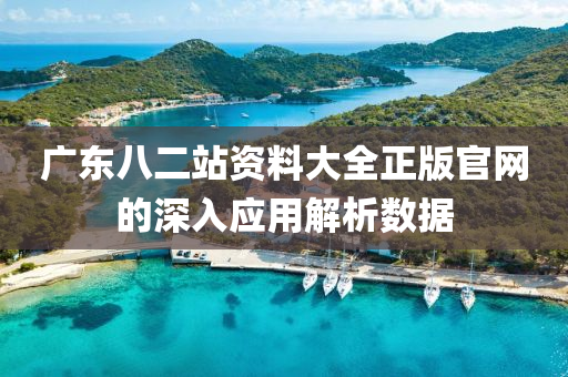 廣東(dong)八(ba)二(er)站資(zi)料(liao)大(da)全(quan)正版(ban)官(guan)網(wang)的深入(ru)應用解(jie)析數據