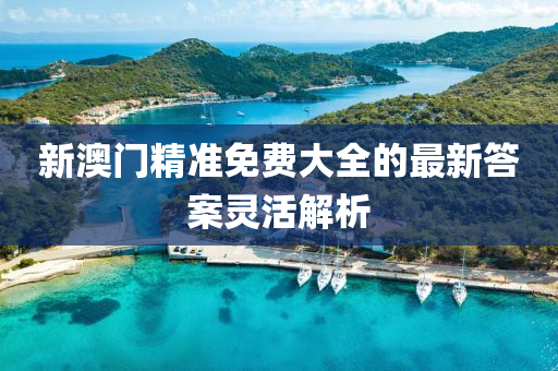 新澳門(men)精(jing)準免費(fei)大全的最新答案(an)靈(ling)活解析(xi)