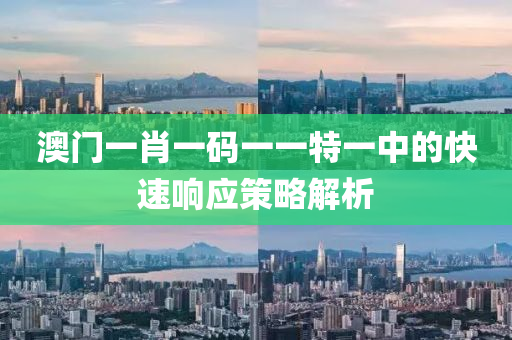 澳(ao)門一肖(xiao)一碼一一特(te)一中的快(kuai)速(su)響(xiang)應(ying)筴(ce)畧(lve)解(jie)析(xi)