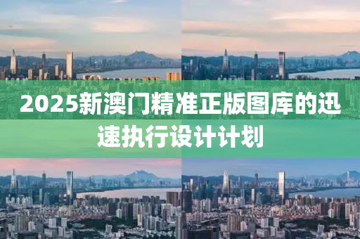 2025新澳(ao)門(men)精(jing)準正版(ban)圖庫(ku)的迅速(su)執(zhi)行(xing)設計(ji)計劃(hua)