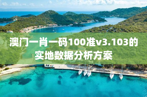 澳門(men)一肖(xiao)一碼100準v3.103的實地數據分析(xi)方案