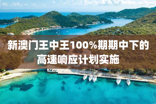 新(xin)澳門王(wang)中王(wang)100%期(qi)期中(zhong)下的(de)高(gao)速響(xiang)應(ying)計劃(hua)實施