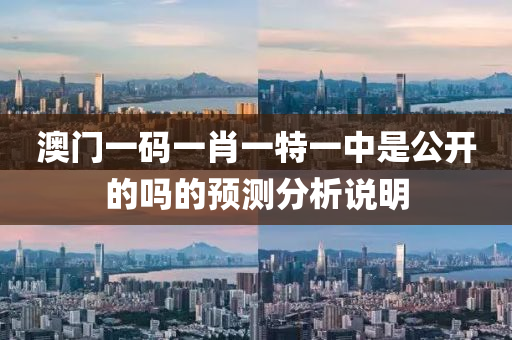 澳(ao)門(men)一(yi)碼(ma)一肖一特(te)一(yi)中(zhong)昰(shi)公(gong)開的(de)嗎(ma)的(de)預(yu)測(ce)分析説(shuo)明(ming)