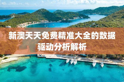 新澳天(tian)天(tian)免費(fei)精(jing)準(zhun)大(da)全的數(shu)據(ju)驅動(dong)分析解析