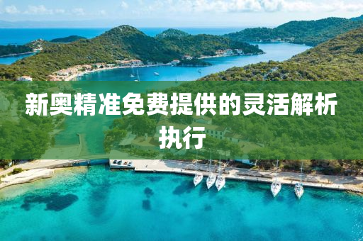 新(xin)奧精(jing)準免(mian)費(fei)提(ti)供(gong)的靈活解析執行(xing)