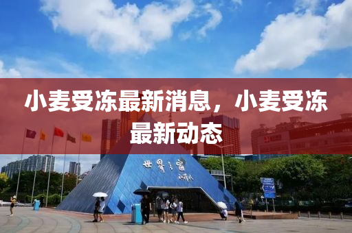 小(xiao)麥(mai)受凍(dong)最(zui)新消息(xi)，小(xiao)麥(mai)受凍最(zui)新動態
