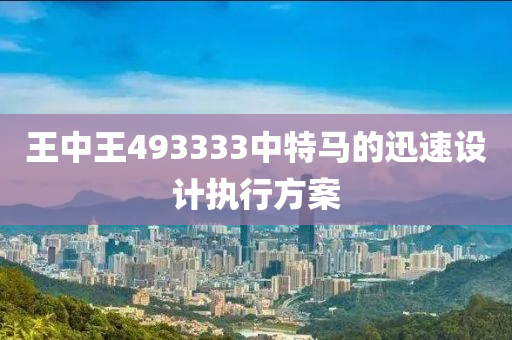 王(wang)中王(wang)493333中(zhong)特(te)馬的(de)迅(xun)速(su)設計執行方(fang)案(an)