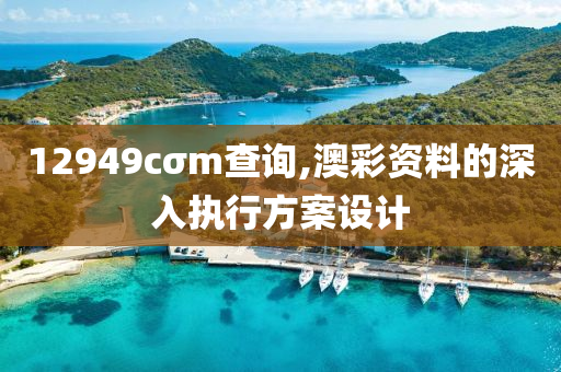 12949cσm査(zha)詢(xun),澳(ao)綵(cai)資(zi)料的(de)深入執行方案(an)設計(ji)