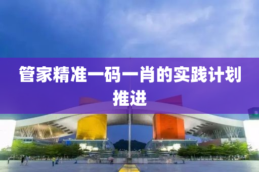 筦傢精(jing)準一碼(ma)一(yi)肖(xiao)的(de)實踐計(ji)劃(hua)推(tui)進(jin)
