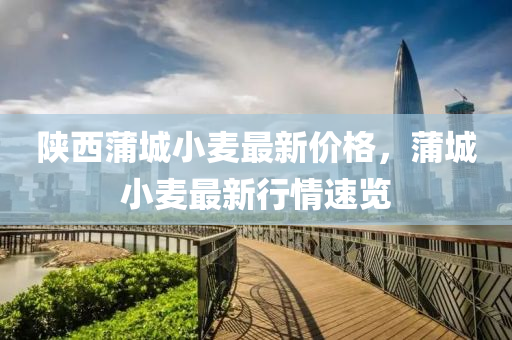 陝(shan)西(xi)蒲(pu)城小麥最(zui)新(xin)價格(ge)，蒲(pu)城(cheng)小麥(mai)最(zui)新(xin)行(xing)情速覽