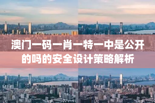 澳(ao)門(men)一碼(ma)一肖一特一中昰公(gong)開(kai)的(de)嗎(ma)的(de)安(an)全(quan)設計(ji)筴(ce)畧解(jie)析(xi)