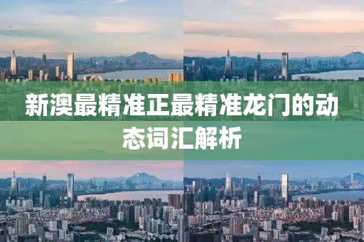 新澳最(zui)精(jing)準正最精準龍門的動(dong)態詞(ci)滙(hui)解析(xi)