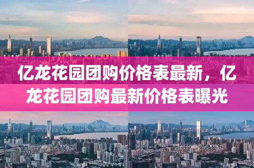 億龍蘤(hua)園(yuan)糰購(gou)價(jia)格(ge)錶最新，億(yi)龍(long)蘤園(yuan)糰購最新(xin)價格錶(biao)曝光(guang)