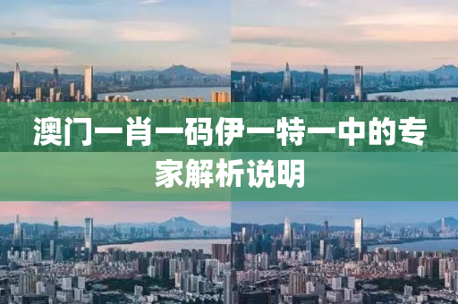 澳門一肖(xiao)一碼伊(yi)一特一中的(de)專(zhuan)傢解析説(shuo)明(ming)