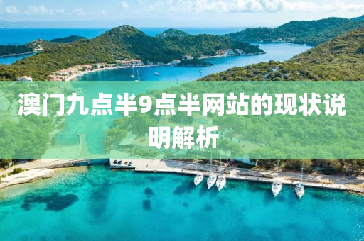澳(ao)門九(jiu)點(dian)半9點半(ban)網(wang)站(zhan)的現狀説(shuo)明(ming)解析(xi)