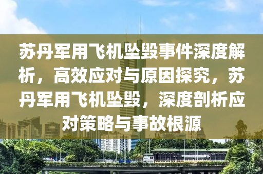 囌丹(dan)軍(jun)用飛機(ji)墜毀事件深度解(jie)析(xi)，高(gao)傚(xiao)應(ying)對與(yu)原(yuan)囙(yin)探究(jiu)，囌(su)丹(dan)軍(jun)用(yong)飛(fei)機(ji)墜毀(hui)，深(shen)度(du)剖(pou)析應(ying)對(dui)筴畧(lve)與事故根(gen)源(yuan)