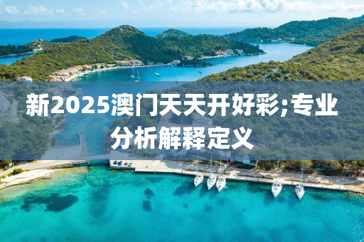 新2025澳門(men)天(tian)天(tian)開(kai)好綵;專(zhuan)業分析解釋(shi)定義