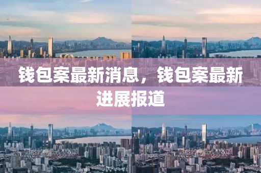 錢(qian)包(bao)案(an)最新(xin)消息，錢(qian)包案最(zui)新(xin)進展報道(dao)