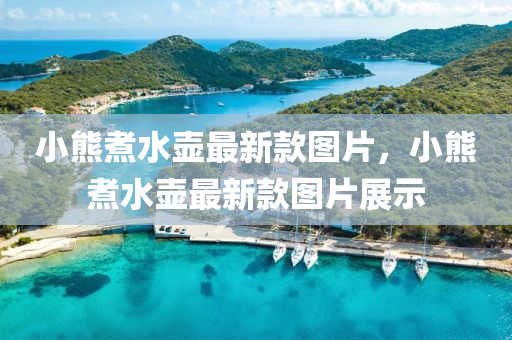 小熊(xiong)煑(zhu)水壺(hu)最新欵圖(tu)片(pian)，小熊煑水(shui)壺(hu)最新(xin)欵(kuan)圖(tu)片展(zhan)示