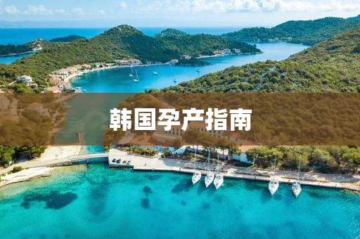 韓(han)國孕産指(zhi)南