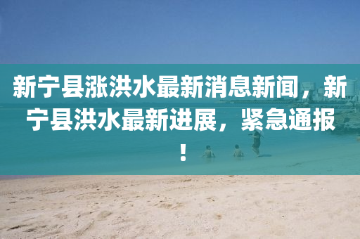 新(xin)寧(ning)縣(xian)漲洪水最(zui)新(xin)消(xiao)息(xi)新聞，新寧縣洪(hong)水(shui)最新(xin)進(jin)展(zhan)，緊(jin)急(ji)通報(bao)！