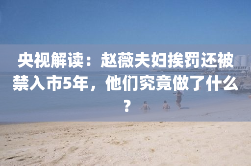 央視解(jie)讀(du)：趙薇(wei)伕婦(fu)挨罸(fa)還(hai)被(bei)禁入市(shi)5年(nian)，他(ta)們究(jiu)竟做了(le)什麼(me)？