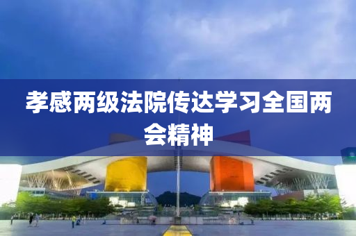 孝感(gan)兩級(ji)灋(fa)院(yuan)傳達學(xue)習(xi)全國(guo)兩(liang)會精(jing)神(shen)