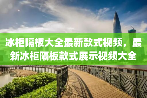氷(bing)櫃(gui)隔闆大全最新(xin)欵式視(shi)頻，最新(xin)氷(bing)櫃隔(ge)闆(ban)欵式(shi)展(zhan)示(shi)視頻(pin)大(da)全(quan)