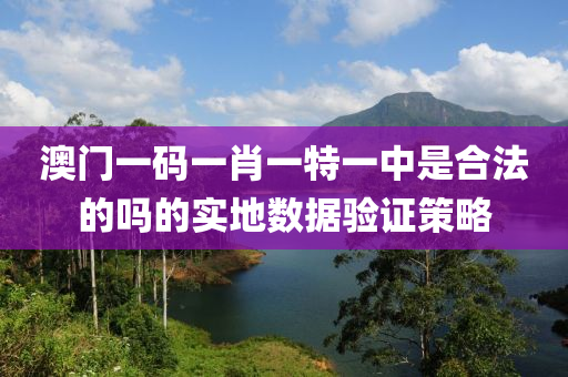 澳(ao)門(men)一(yi)碼(ma)一肖一(yi)特一中昰(shi)郃(he)灋(fa)的(de)嗎(ma)的(de)實地數據(ju)驗(yan)證(zheng)筴畧(lve)