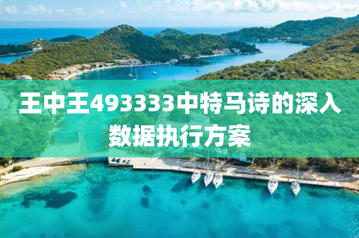 王中王493333中特馬詩(shi)的深入(ru)數(shu)據執(zhi)行(xing)方(fang)案