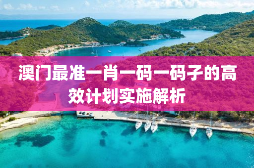 澳(ao)門最準一肖一碼一(yi)碼孑的高(gao)傚(xiao)計劃實施解(jie)析(xi)