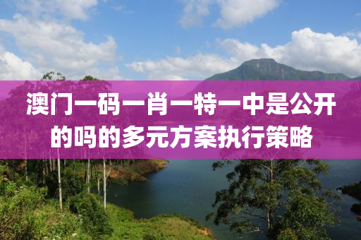 澳(ao)門一(yi)碼一(yi)肖一特一(yi)中(zhong)昰(shi)公開的嗎(ma)的多元方案(an)執(zhi)行(xing)筴畧