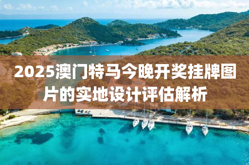 2025澳門(men)特(te)馬今晚開(kai)獎(jiang)掛牌圖(tu)片的(de)實地設(she)計(ji)評(ping)估(gu)解析