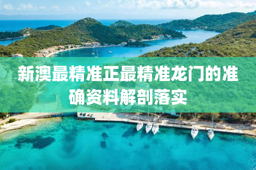 新(xin)澳最精(jing)準正最精(jing)準龍(long)門(men)的準(zhun)確資(zi)料解(jie)剖(pou)落實(shi)