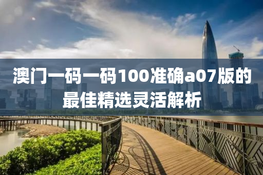 澳(ao)門(men)一碼(ma)一(yi)碼100準確(que)a07版的(de)最(zui)佳(jia)精選靈活(huo)解(jie)析(xi)
