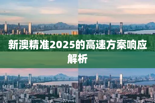 新澳精(jing)準(zhun)2025的高速方案(an)響(xiang)應(ying)解析(xi)