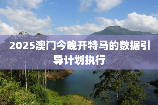 2025澳(ao)門今晚開特(te)馬(ma)的(de)數據引(yin)導計劃執行