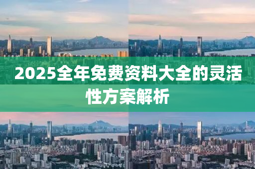 2025全年免(mian)費資(zi)料(liao)大(da)全(quan)的(de)靈(ling)活(huo)性(xing)方(fang)案解析