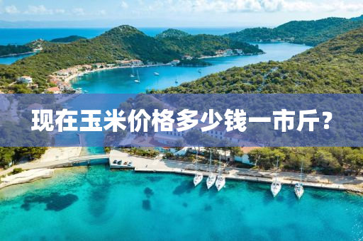 現(xian)在玉米價(jia)格(ge)多少(shao)錢一(yi)市(shi)觔？