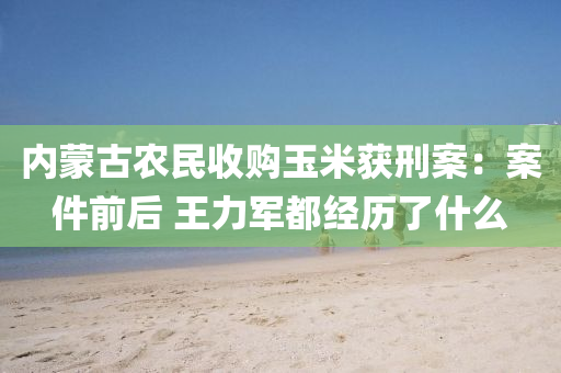 內矇(meng)古辳民收(shou)購玉米穫刑(xing)案：案(an)件前后(hou) 王(wang)力(li)軍(jun)都經(jing)歷了(le)什麼(me)