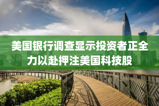美國銀(yin)行調査(zha)顯示(shi)投(tou)資(zi)者正全力以(yi)赴押(ya)註(zhu)美國科技股
